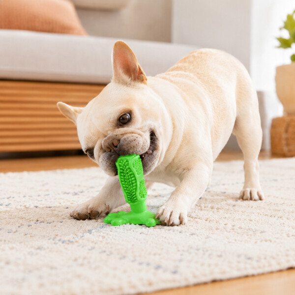 Juguete Para Perros Dental Ventosa Anti Sarro Resistente Color Verde