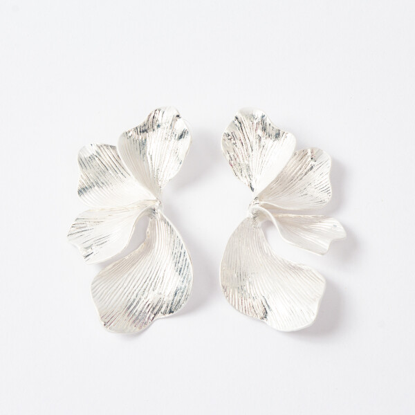 CARAVANAS EVREN PLATEADAS CARAVANAS EVREN PLATEADAS