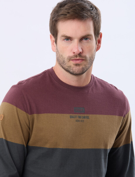 REMERA RAYADA CON ESTAMPA Gris