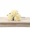 Ramo de 5 Hortensias Biege