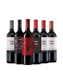 Pack Selección Hallowine Week x6 de Casillero del Diablo Pack Selección Hallowine Week x6 de Casillero del Diablo