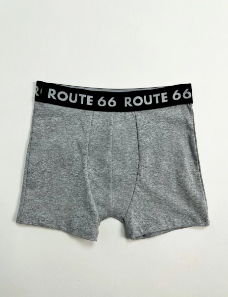Boxer algodón Liso Gris