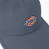 Gorro Dickies Low Pro Logo Dad Azul