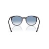Ray Ban Rb2204 1430/3f