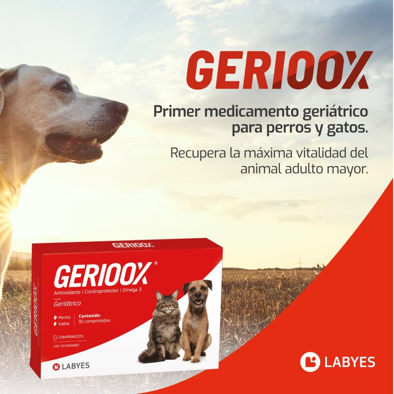GERIOOX ANTIOXIDANTE CON OMEGA 3 CONDROPROTECTOR BLISTER 10 COMPRIMIDOS