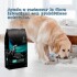 PRO PLAN PERROS GASTROINTESTINAL 7,5 KG PRO PLAN PERROS GASTROINTESTINAL 7,5 KG