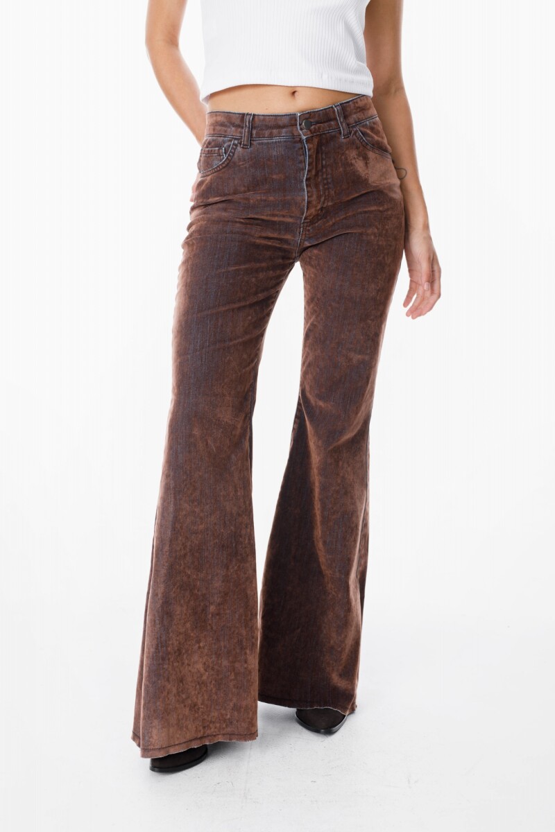 Jean New Paz Velvet