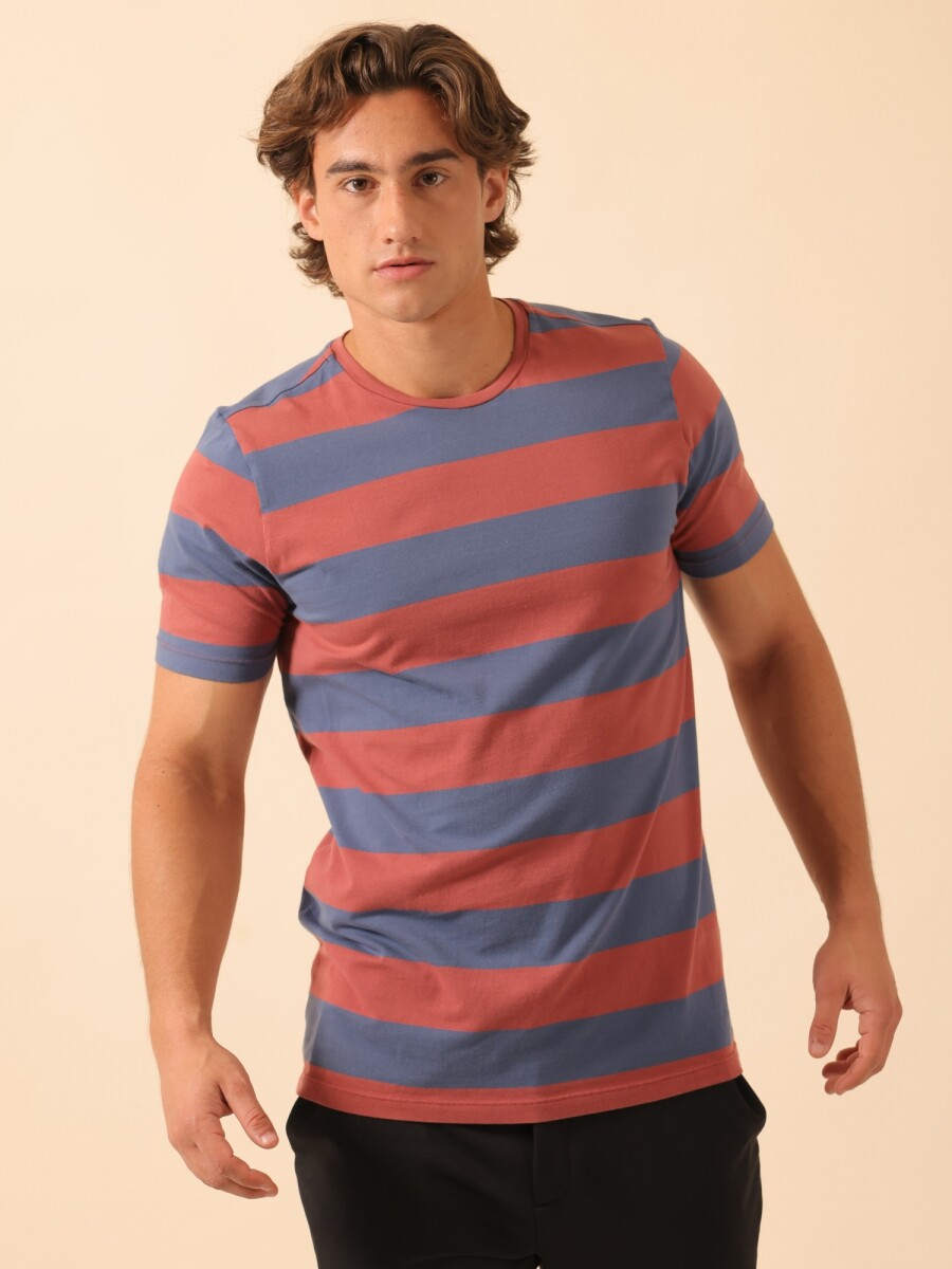 Remera a Rayas. 
