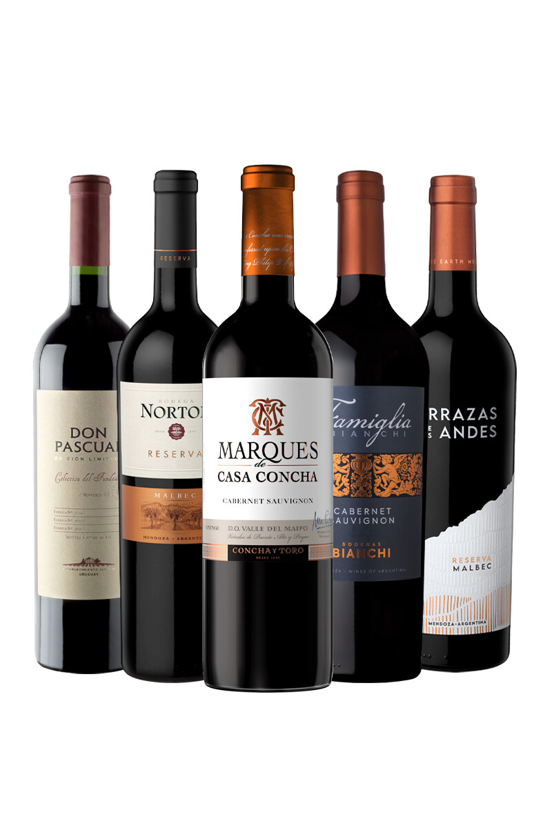 Pack Selección Best Seller de Junio x5 vinos tintos de alta gama 