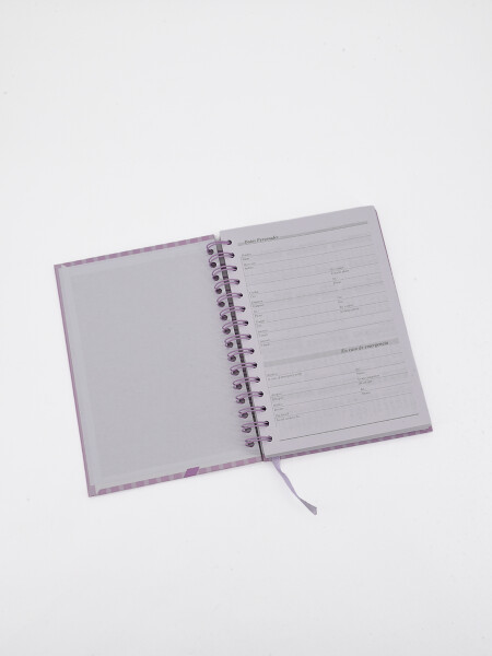 AGENDA RAYAS ROSA 2027 ROSADO