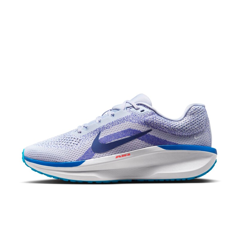 Championes Nike Winflo 11 de Hombre Gris