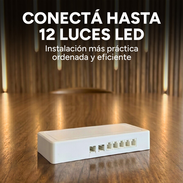 Transformador Luz Led Wpc 100w 24v Conexión Hasta 12 Luces Color Blanco