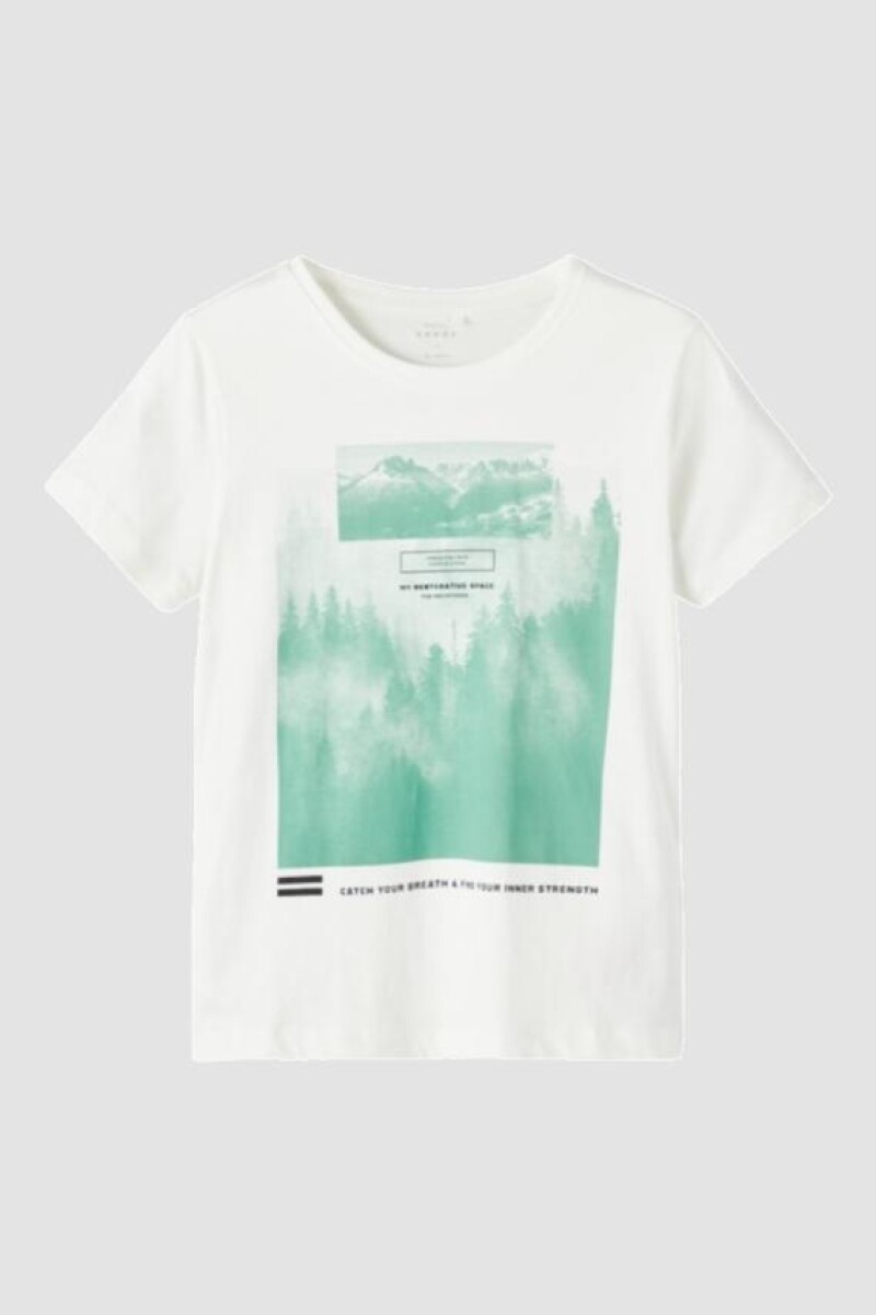 Camiseta Manga Corta Estampada - White Alyssum 