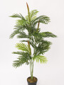 Planta Palmera Areca 85cm Color Unico