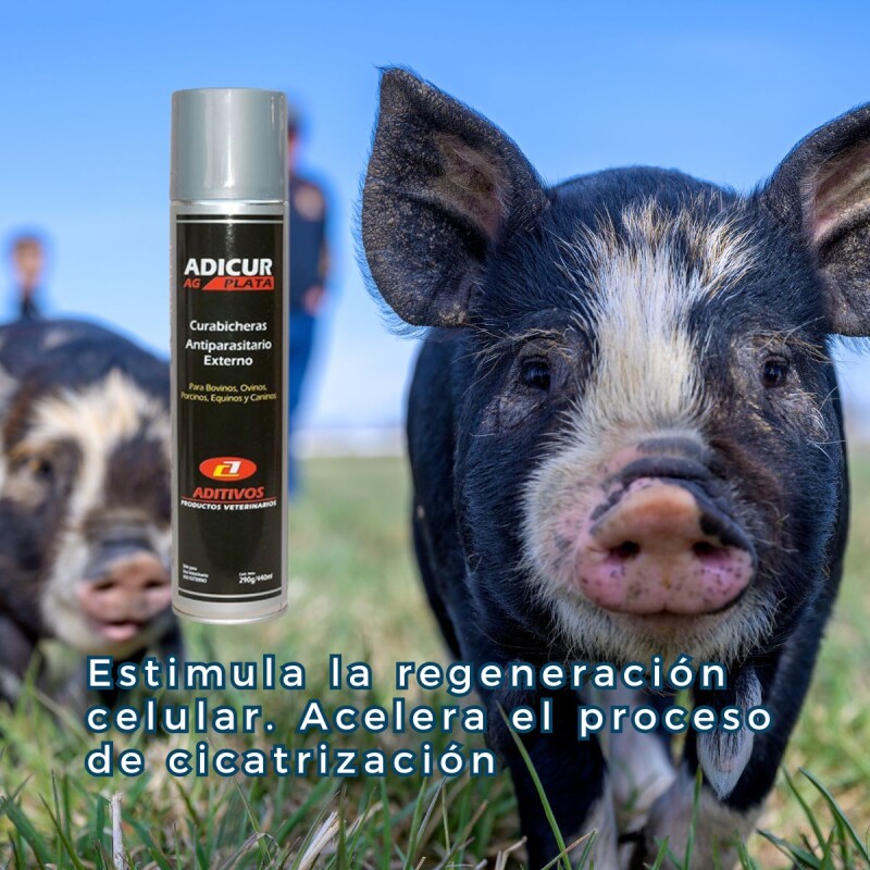 CURABICHERA ADICUR AG PLATA CURABICHERA ADICUR AG PLATA