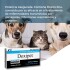 DOXIPET ATIBIÓTICO PARA PERROS Y GATOS CAJA 20 COMPRIMIDOS DOXIPET ATIBIÓTICO PARA PERROS Y GATOS CAJA 20 COMPRIMIDOS