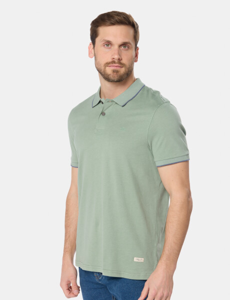 REMERA POLO JERSEY RAYADA Verde