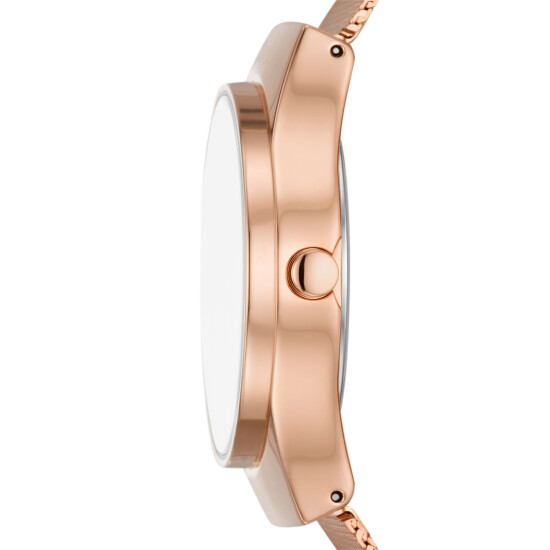 Reloj Skagen Fashion Acero Oro Rosa 0