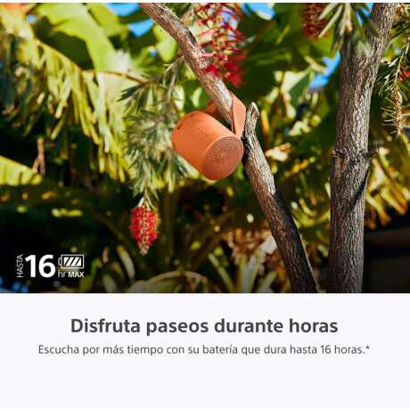 Parlante Inalámbrico Portatil Sony SRS-XB100 Naranja