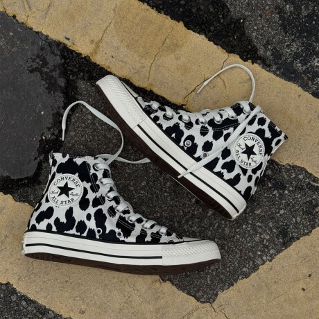 CHUCK TAYLOR ALL STAR CATS HI Black White