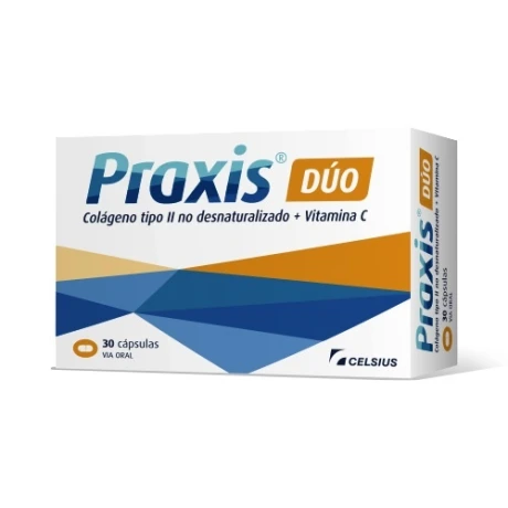 Praxis Duo Praxis Duo