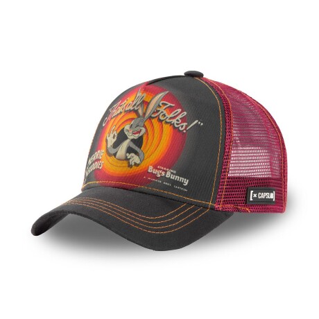 Gorro CapsLab LOONEY TUNES - CLLOO31RIN1 Sin color