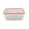 RECIPIENTE RECTANGULAR ELEGANT FRESHLIFE 5,0L SURTIDO RECIPIENTE RECTANGULAR ELEGANT FRESHLIFE 5,0L SURTIDO
