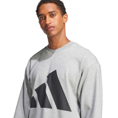 Campera Essentials Big Logo French Terry de Hombre Gris