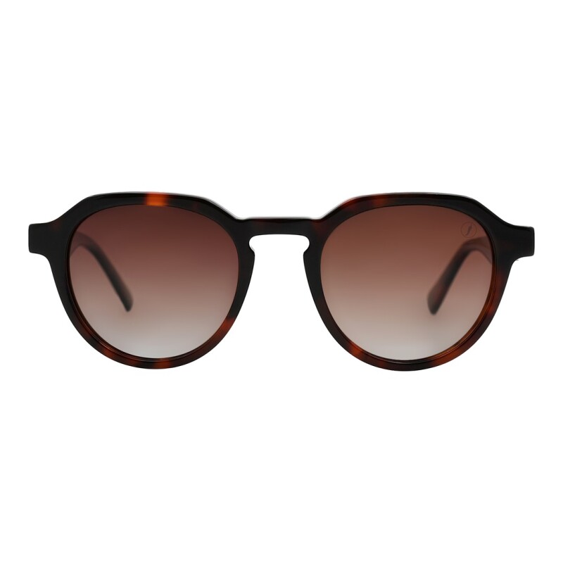 Lentes de Sol Chilli Beans Los Angeles Unisex Animal Print