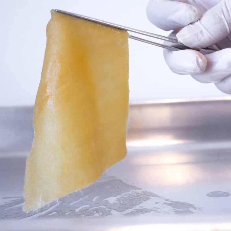 Apósitos Propóleo D NF 10x10 cm 2 Unidades Apósitos Propóleo D NF 10x10 cm 2 Unidades