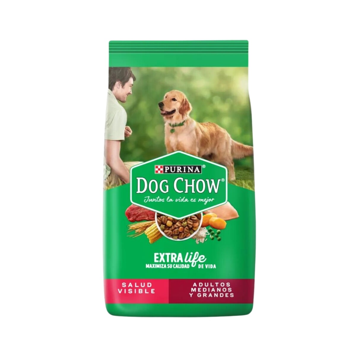 Dog Chow Adulto Mediano Y Gde 21kg 