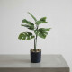 Planta Artificial 25cm Planta Artificial 25cm