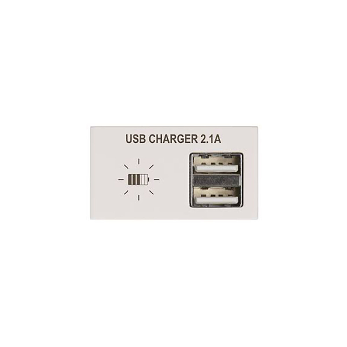 Módulo cargador p/2 USB 2,1A Duomo blanco - ELE01402 