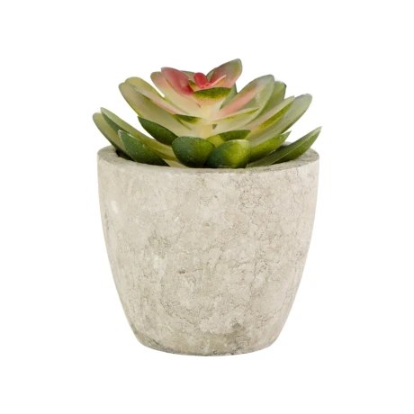 Planta artificial suculenta Planta artificial suculenta
