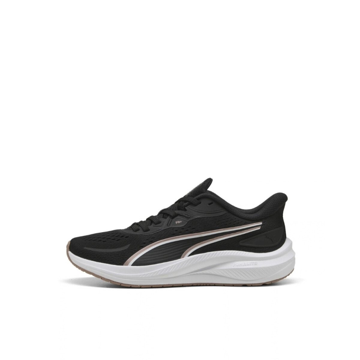 CHAMPION 36-41 - NEGRO/COBR 