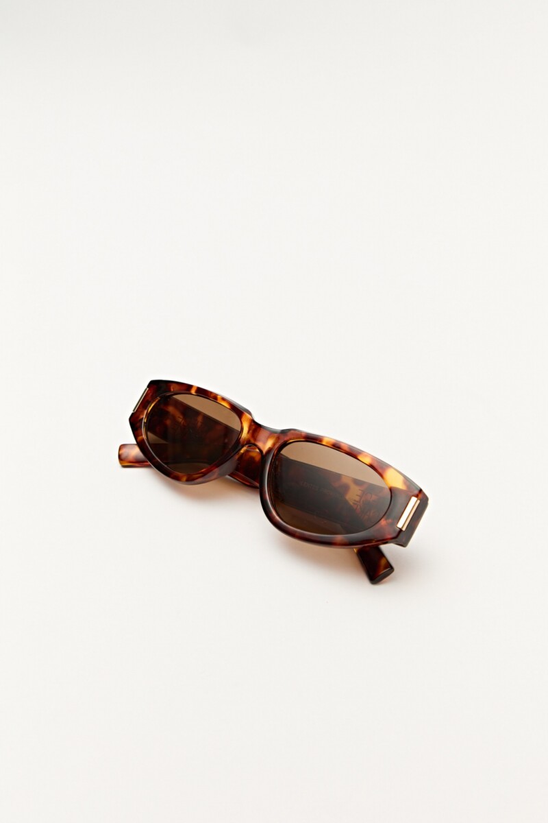 LENTES PROVENCE Marron