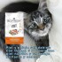 BIOFRESH GATOS CASTRADOS 1.5 KG