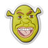 Jibbitz Shrek Multicolor