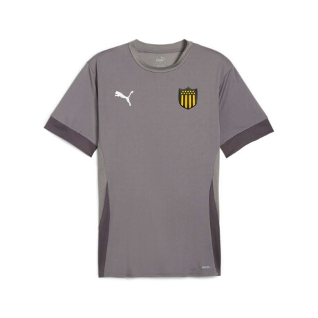 Remera Teamgoal Matchday Camiseta de Hombre Gris