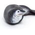 Figura Safari Foca Leopardo Animal Marino Oceano Mar Juguete Figura Safari Foca Leopardo Animal Marino Oceano Mar Juguete