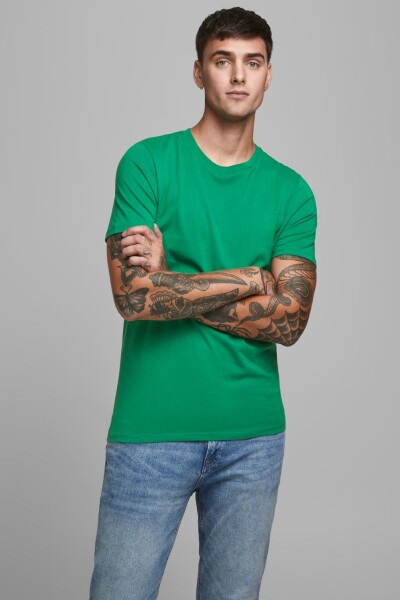 Camiseta Organic Básica Verdant Green