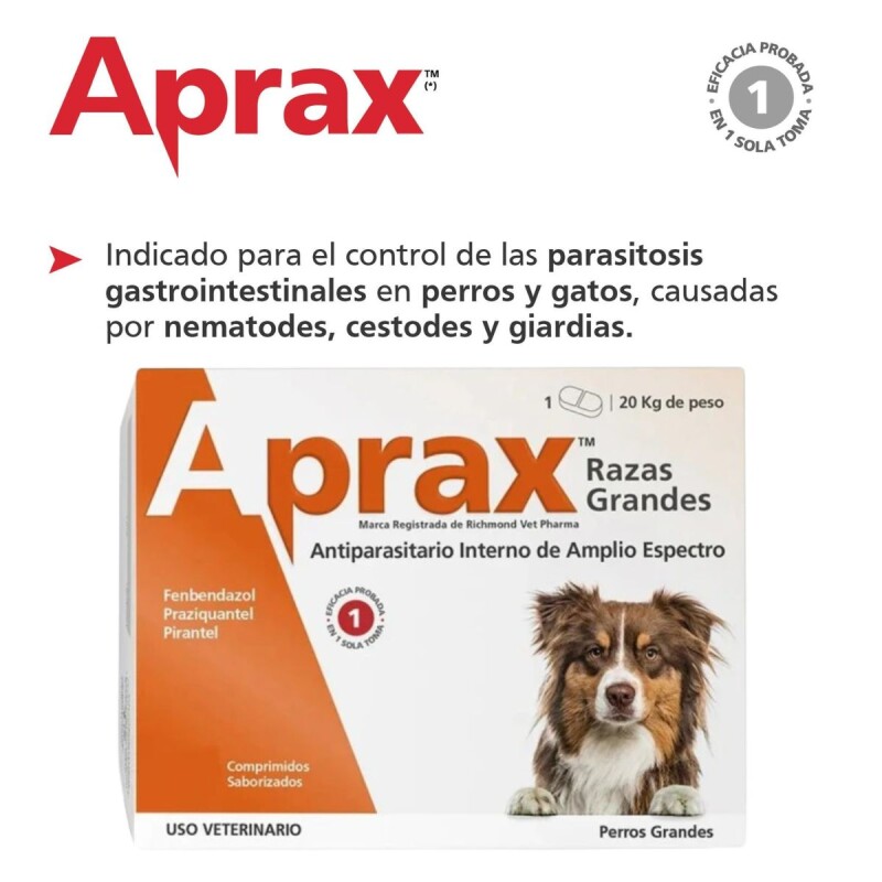 APRAX ANTIPARASITARIO BLISTER 4 COMPRIMIDOS SABORIZADOS APRAX ANTIPARASITARIO BLISTER 4 COMPRIMIDOS SABORIZADOS