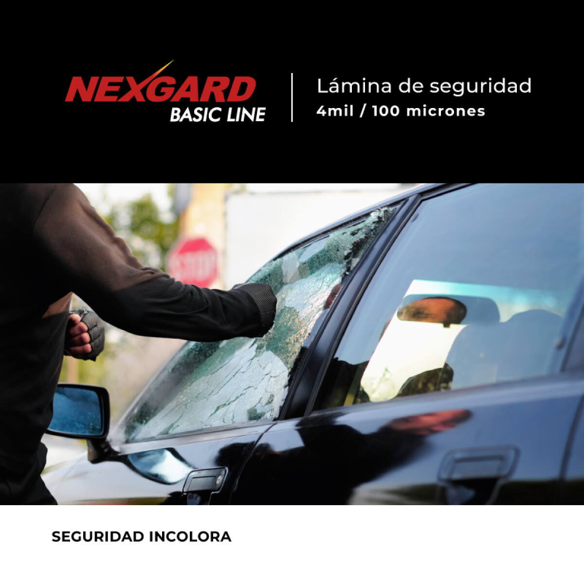 Polarizado Auto. Marca: Nexgard. Incolora. 100 Micrones 