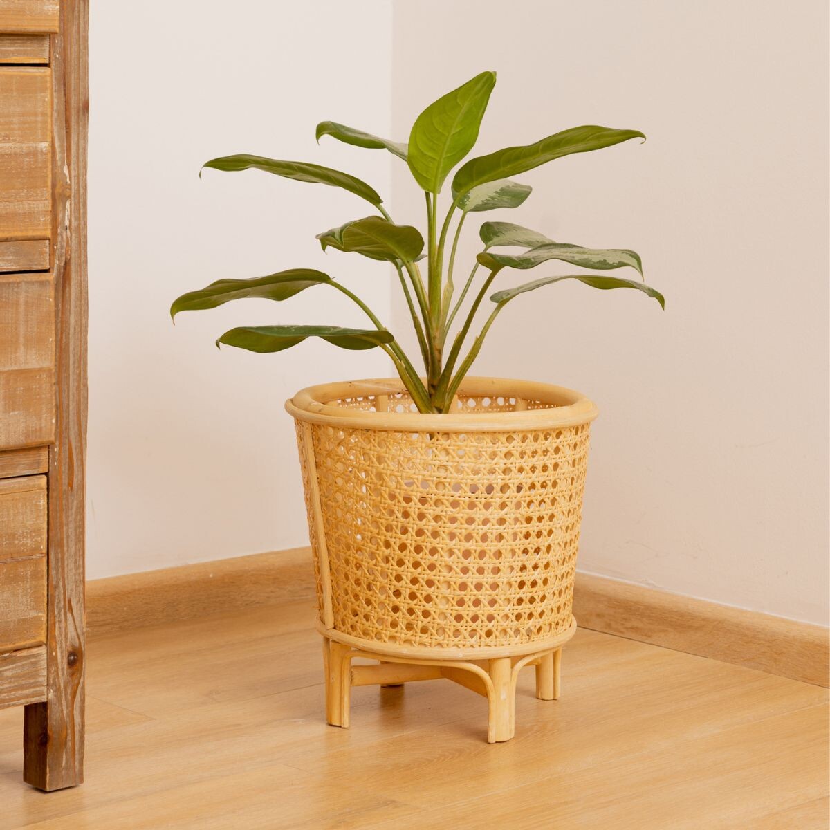 Maceta de rattan con esterilla 