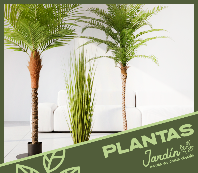 PLANTAS