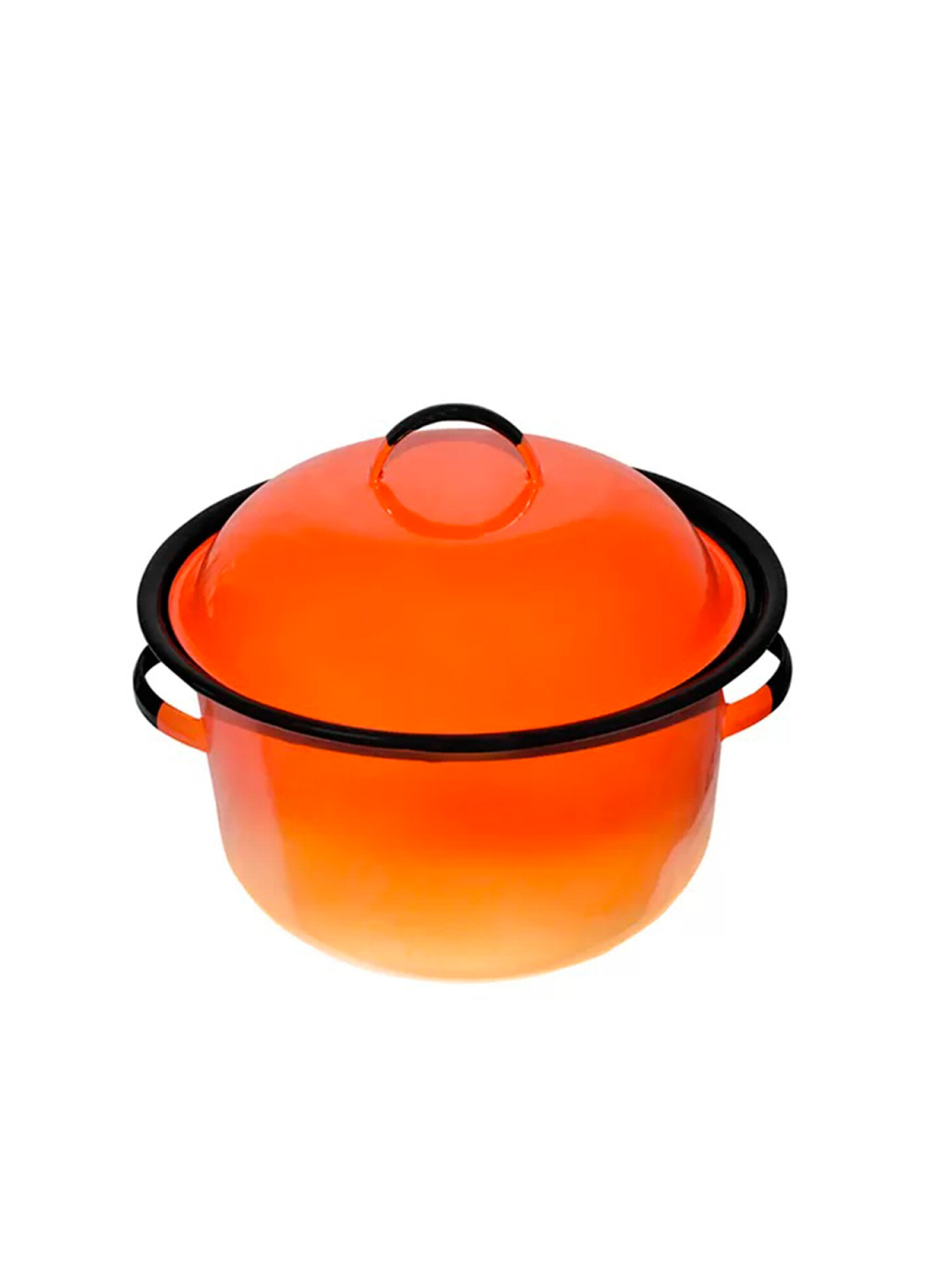 Rara Planta Brillante Naranja Y Rojo Suculenta Echeveria Spica En Olla De Cerámica Sobre Fondo Blanco Con Espacio Copia Image216783411