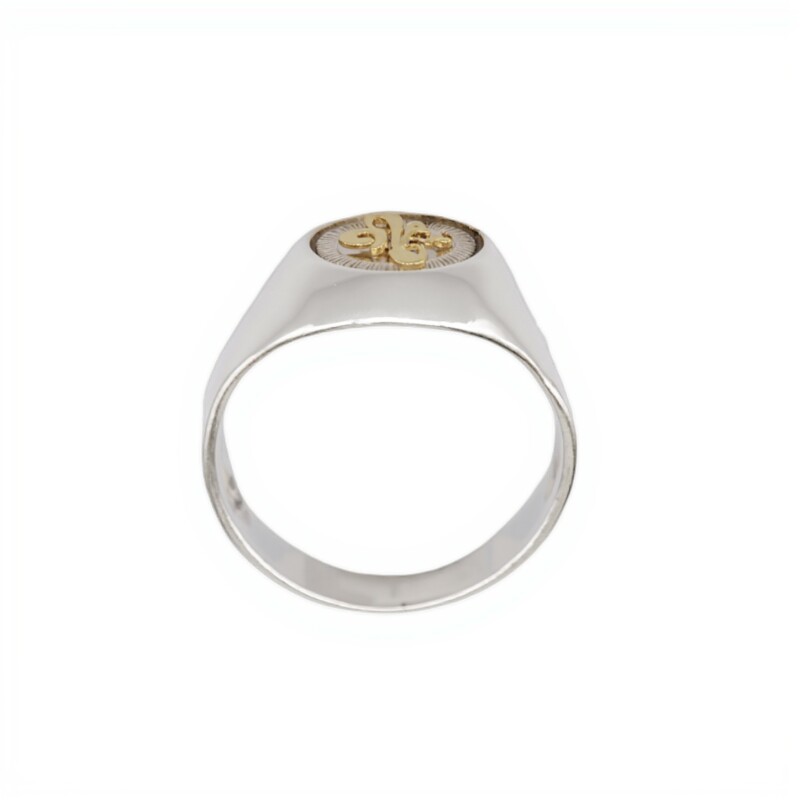 Anillo Profesión Escribano-Plata y Oro-Sin Piedra-AP5006 sinpiedra