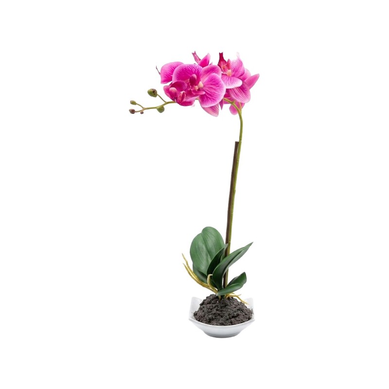ORQUIDEA FUCSIA C/MACETERO 10.5X10.5X38CM Unica