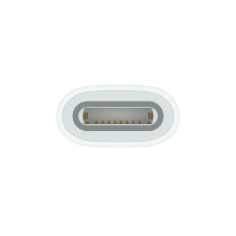 Adaptador De Usb-c A Apple Pencil Adaptador De Usb-c A Apple Pencil