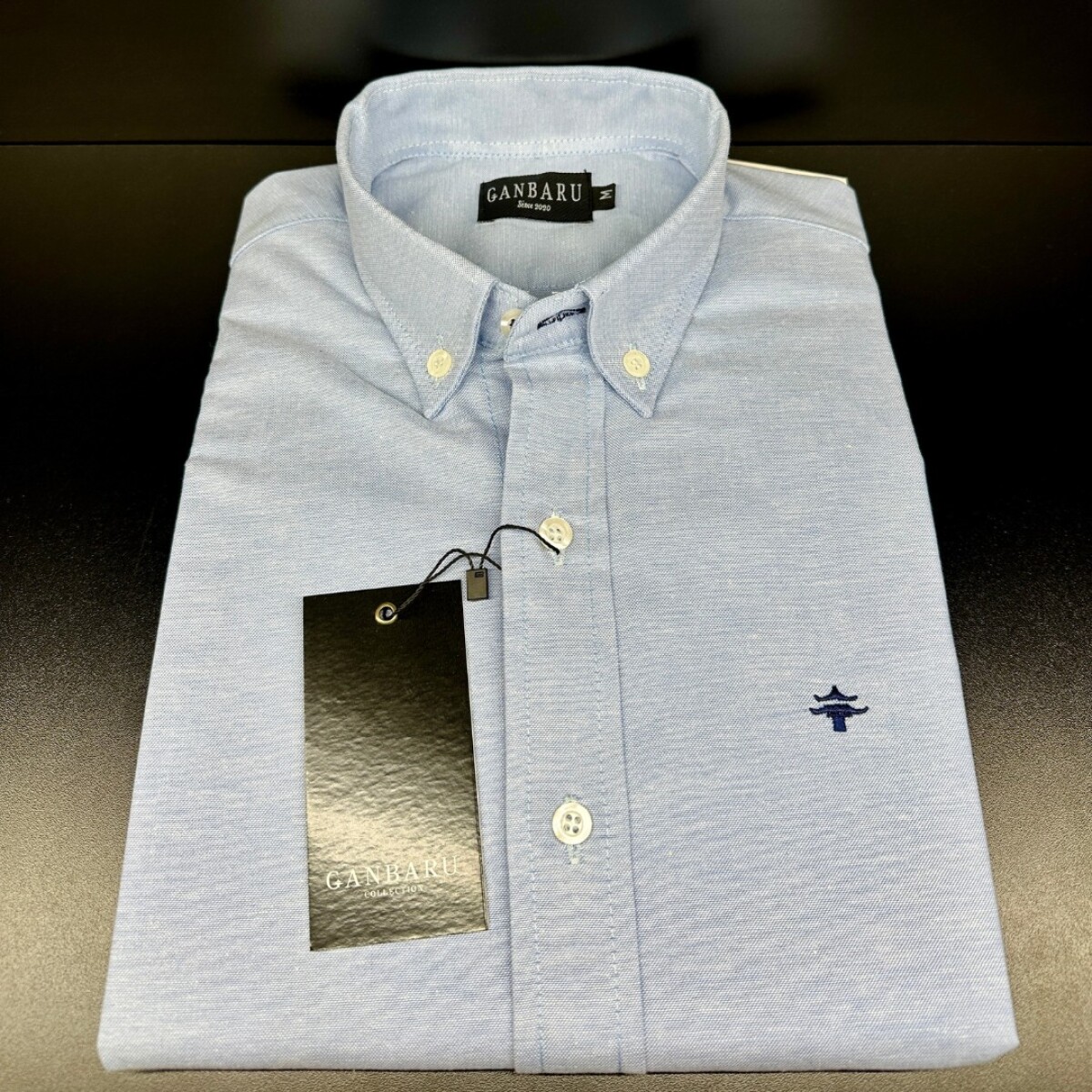 CAMISA SPORT - Celeste claro 